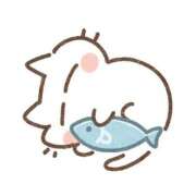 ヒメ日記 2026/02/28 13:17 投稿 める 横浜人妻ヒットパレード（シンデレラグループ）