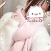 ヒメ日記 2025/12/11 19:25 投稿 うみ 姫マーケット