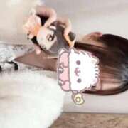 ヒメ日記 2025/12/19 10:15 投稿 うみ 姫マーケット