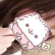 ヒメ日記 2026/01/22 10:35 投稿 うみ 姫マーケット