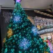 ヒメ日記 2025/12/14 23:33 投稿 いおり 沖縄素人図鑑