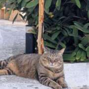 ヒメ日記 2026/02/26 09:27 投稿 いおり 沖縄素人図鑑