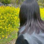 ヒメ日記 2026/04/06 06:27 投稿 のどか DIVAセカンドシーズン