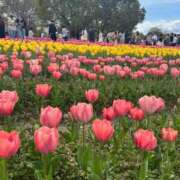 ヒメ日記 2026/04/08 12:57 投稿 のどか DIVAセカンドシーズン