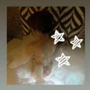 ヒメ日記 2025/12/16 17:17 投稿 みき スピード日本橋店