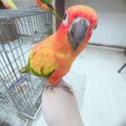 ヒメ日記 2025/11/30 19:22 投稿 ♡るる♡ バニラリップ