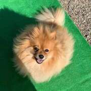 ヒメ日記 2026/01/18 20:13 投稿 りんね ぷよステーション大宮店