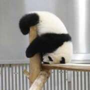 ヒメ日記 2026/01/30 19:03 投稿 りんね ぷよステーション大宮店