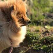 ヒメ日記 2026/02/03 13:13 投稿 りんね ぷよステーション大宮店