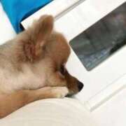 ヒメ日記 2026/04/29 00:43 投稿 りんね ぷよステーション大宮店