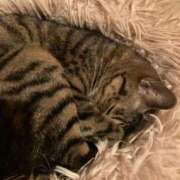 ヒメ日記 2025/11/29 21:28 投稿 高野【人妻コース】 久留米デリヘル358