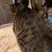 ヒメ日記 2025/12/12 09:28 投稿 高野【人妻コース】 久留米デリヘル358