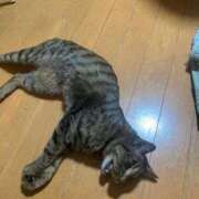 ヒメ日記 2025/12/18 05:14 投稿 高野【人妻コース】 久留米デリヘル358