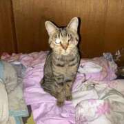 ヒメ日記 2026/01/18 12:04 投稿 高野【人妻コース】 久留米デリヘル358