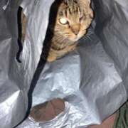 ヒメ日記 2026/01/29 08:01 投稿 高野【人妻コース】 久留米デリヘル358