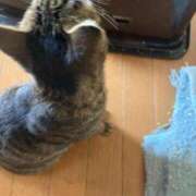 ヒメ日記 2026/04/06 08:06 投稿 高野【人妻コース】 久留米デリヘル358