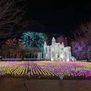 ヒメ日記 2026/01/16 08:03 投稿 さおり（新人） MOISTLIP