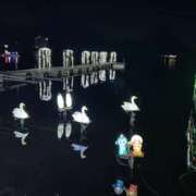 ヒメ日記 2026/02/10 02:03 投稿 さおり（新人） MOISTLIP