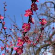 ヒメ日記 2026/02/18 10:33 投稿 さおり（新人） MOISTLIP