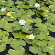 ヒメ日記 2026/02/22 23:13 投稿 さおり（新人） MOISTLIP