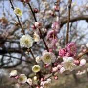 ヒメ日記 2026/02/28 14:43 投稿 さおり（新人） MOISTLIP