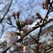 ヒメ日記 2026/03/01 14:33 投稿 さおり（新人） MOISTLIP