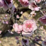 ヒメ日記 2026/03/07 11:03 投稿 さおり（新人） MOISTLIP