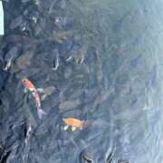 ヒメ日記 2026/03/15 16:03 投稿 さおり（新人） MOISTLIP