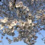 ヒメ日記 2026/03/30 09:23 投稿 さおり（新人） MOISTLIP