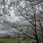 ヒメ日記 2026/04/08 10:33 投稿 さおり（新人） MOISTLIP