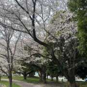 ヒメ日記 2026/04/10 09:33 投稿 さおり（新人） MOISTLIP