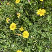 ヒメ日記 2026/04/11 10:23 投稿 さおり（新人） MOISTLIP