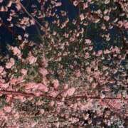 ヒメ日記 2026/04/14 09:33 投稿 さおり（新人） MOISTLIP