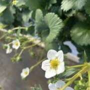 ヒメ日記 2026/04/29 09:53 投稿 さおり（新人） MOISTLIP