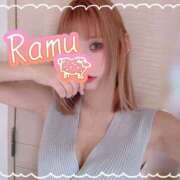 ヒメ日記 2025/12/29 12:44 投稿 上山　らむ ALYO（アルヨ）