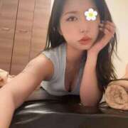 ヒメ日記 2026/02/17 15:44 投稿 堀宮　のえる ALYO（アルヨ）