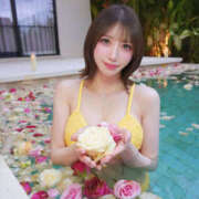 ヒメ日記 2026/02/24 12:47 投稿 Alice/アリス・逸材 Platinum Legend(プラチナムレジェンド)