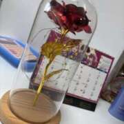 ヒメ日記 2025/11/29 13:24 投稿 舞川日和 五十路マダム 浜松店(カサブランカグループ)