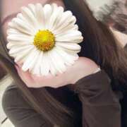 ヒメ日記 2025/12/12 11:58 投稿 舞川日和 五十路マダム 浜松店(カサブランカグループ)