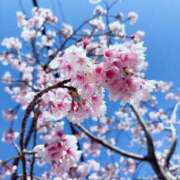 ヒメ日記 2026/03/13 21:34 投稿 舞川日和 五十路マダム 浜松店(カサブランカグループ)