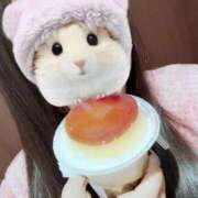 ヒメ日記 2026/04/04 23:02 投稿 舞川日和 五十路マダム 浜松店(カサブランカグループ)