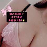 ヒメ日記 2025/12/02 16:56 投稿 さら 新宿ハンドメイド