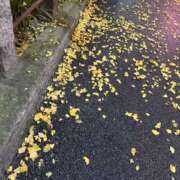 さら 秋？ 新宿ハンドメイド