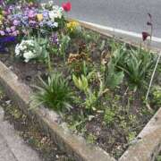 ヒメ日記 2026/04/07 19:32 投稿 みつ スピードエコ難波店