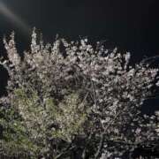 みつ みつ（エコ難波店） スピードエコ難波店