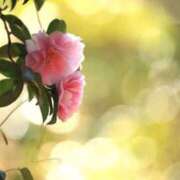 新海ひかり はじめまして 五十路マダム 沼津店(カサブランカグループ)