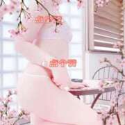 ヒメ日記 2026/02/28 10:30 投稿 うさぎ 熟女の風俗最終章 町田店