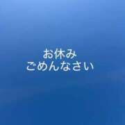 碧（あおい） ごめんなさい ビッグバード