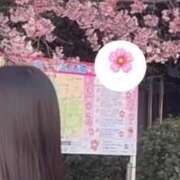 ヒメ日記 2025/12/12 12:25 投稿 しずく 川崎・東横人妻城