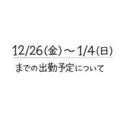 ほしな 年末年始の予定。 錦糸町人妻セレブリティ（ユメオト）